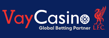 Vaycasino logosu